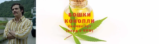 гашиш Белокуриха
