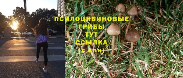 ешки Белоозёрский